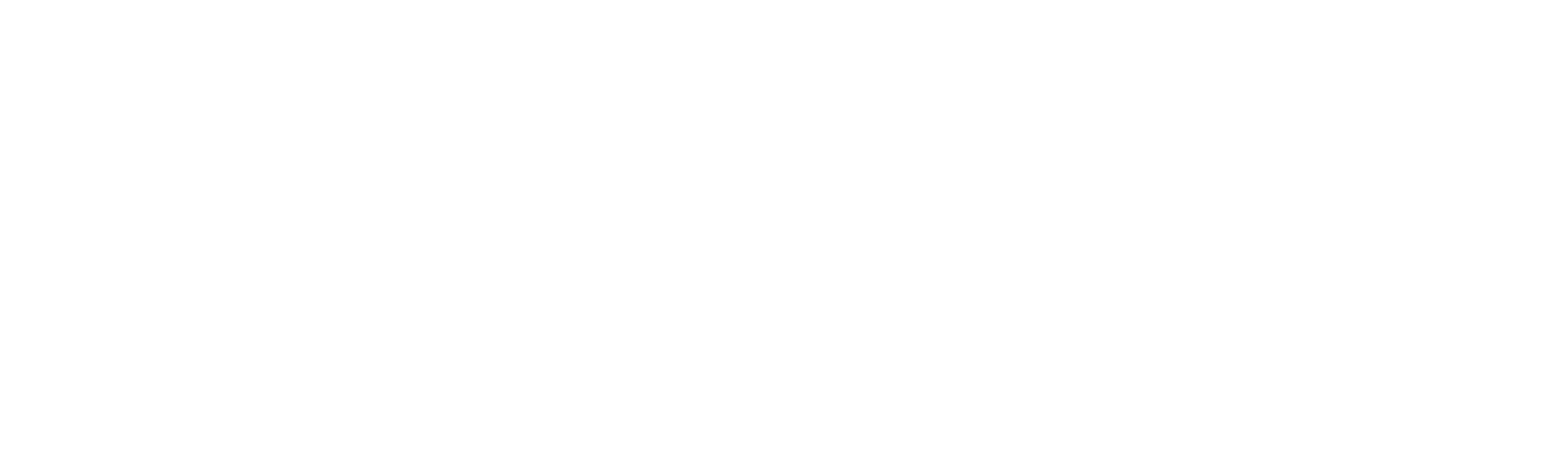 Paessler logo