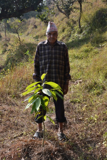 Agro-Aufforstung-mit-Pflanzenkohle-Ratanpur_Nepal